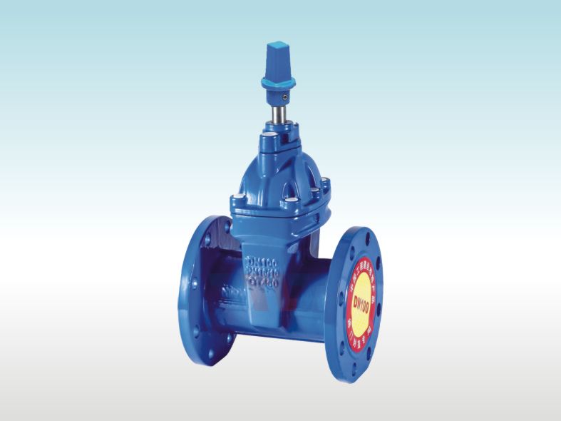 地下管網(wǎng)橡膠閘閥